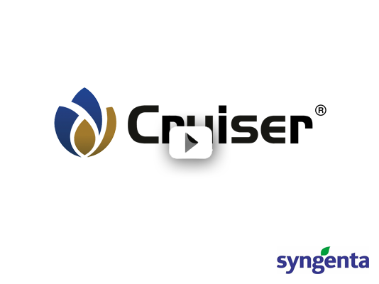 Syngenta Cruiser 30s Radio Ad