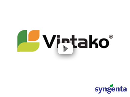 Syngenta Virtako 30s Radio Ad